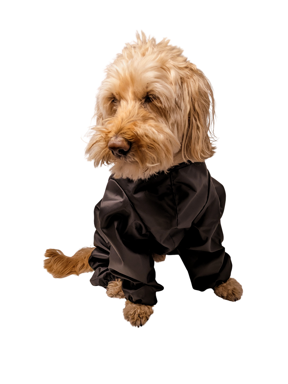 Dog Trouser Suit Shop Waterproof Dog Coats Doggie Coats