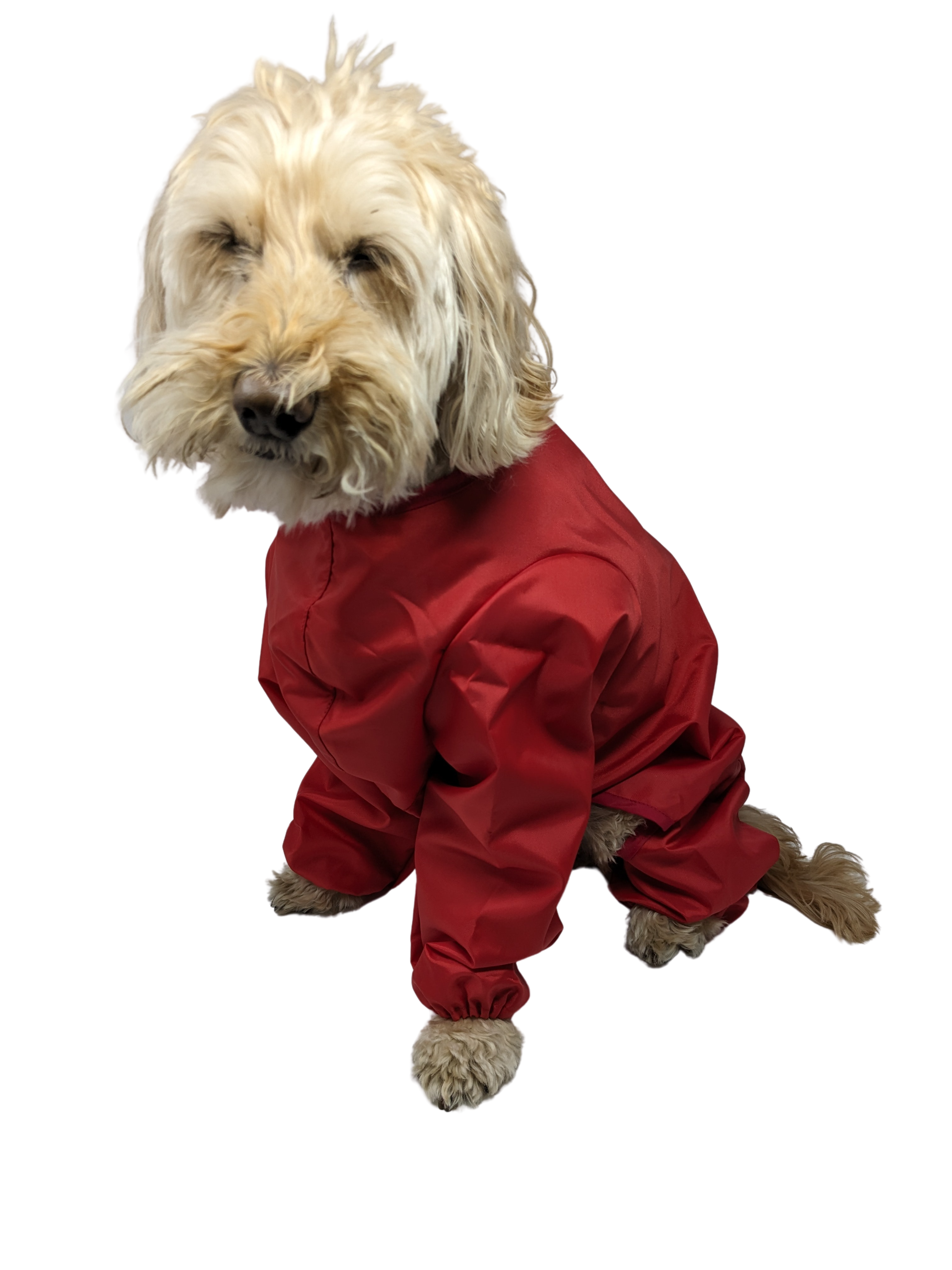 Waterproof Nylon Dog Trouser Suit Dog Coat Red Black or Navy NAVY BLUE  24 61cm  Amazoncouk Pet Supplies