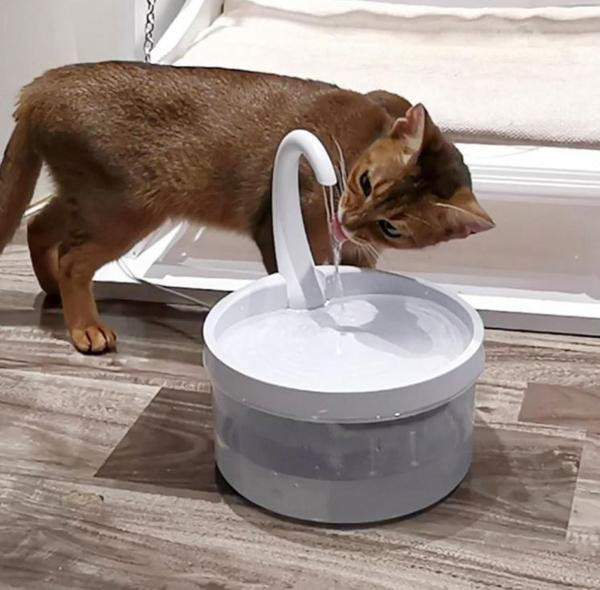 Cat Water Fountain - CatCaire zaxx