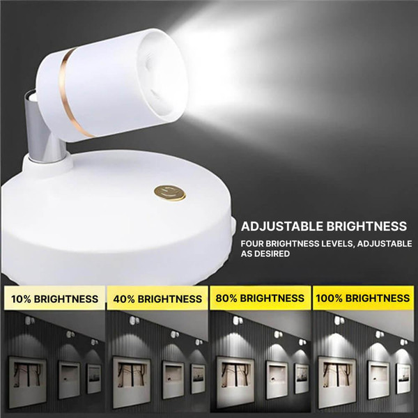 Indoor Directional LED Spotlight zaxx