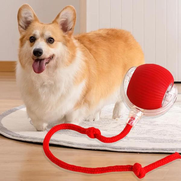Interactive Toy for Cats and Dogs – Smart Interactive Ball Interactive Toy for Cats and Dogs – Smart Interactive Ball zaxx