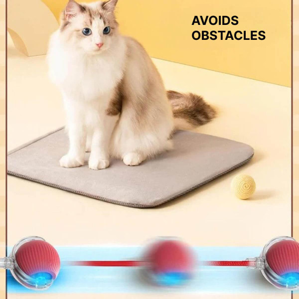 Interactive Toy for Cats and Dogs – Smart Interactive Ball zaxx