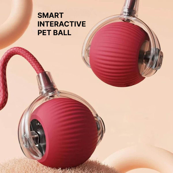 Interactive Toy for Cats and Dogs – Smart Interactive Ball Interactive Toy for Cats and Dogs – Smart Interactive Ball zaxx
