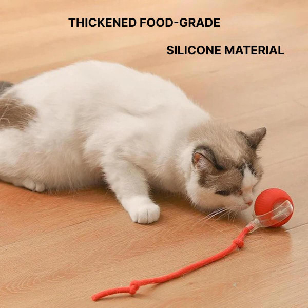 Interactive Toy for Cats and Dogs – Smart Interactive Ball Interactive Toy for Cats and Dogs – Smart Interactive Ball zaxx