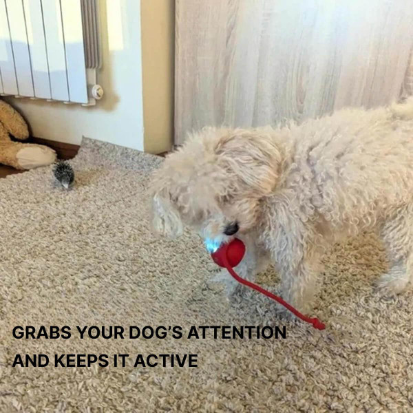 Interactive Toy for Cats and Dogs – Smart Interactive Ball Interactive Toy for Cats and Dogs – Smart Interactive Ball zaxx