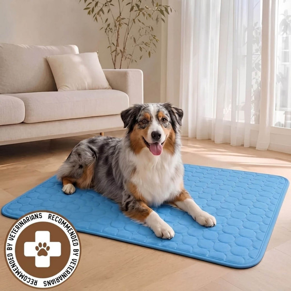 Dog Cooling Mat – Cooling Blanket zaxx