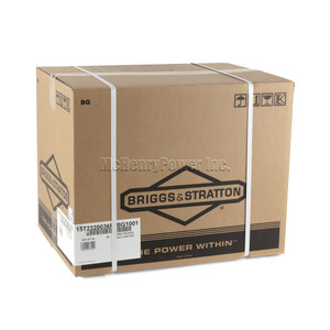 Briggs and Statton ENGINE Model # 15T232-0036-F8 