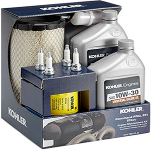 Genuine OEM Kohler MAINTENANCE KIT 824CC Part# 19 789 01-S
