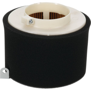Air Filter Combo  RPLS Kawasaki 11029-1004 Part# 100-938