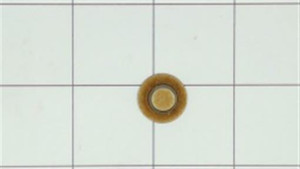 Genuine Sears Crafstman  Part CAP-PUSH 726-04009 726-04009A