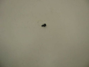 Genuine Kohler OEM SCREW HEX FLANGE RPL M-539010 Part# M-550010-S