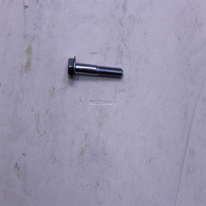 Genuine Kohler Part SCREW, HEX FLANGE (M6) 25 086 307-S