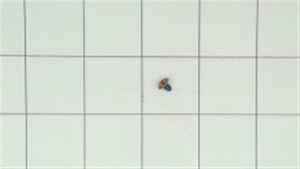 Genuine Kohler OEM SCREW Part# 25 086 27-S