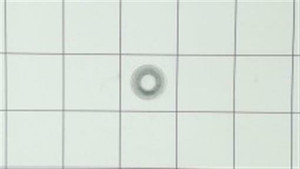 Genuine Kohler RETAINER, RING Part # 24 018 09-S