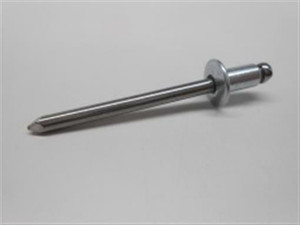 Genuine echo Part RIVET 89001122360