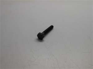 Genuine echo Part BOLT 69911505360