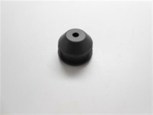 Genuine echo Part CUSHION 10091030830