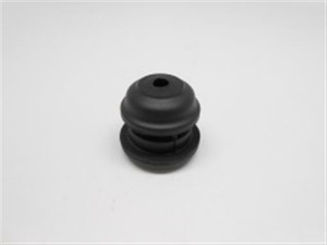 Genuine echo Part CUSHION 10091012530