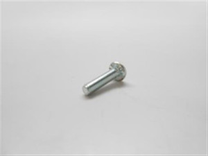 Genuine echo Part SCREW P005000980