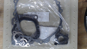 Genuine OEM Ariens Sno-Thro Engine Gasket Kit 20001366