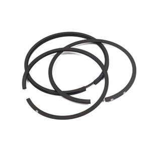 Genuine Brigg&Straton Ring Set (Standard) Part# 394959