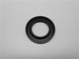 Genuine Briggs and Stratton SEAL-OIL Part# 495307S