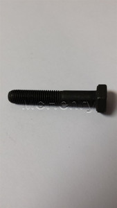 Genuine MTD  SCREW HEX  Part# 710-0698