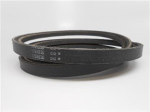 Genuine MTD  Part BELT-V 1769830