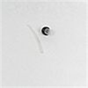 Genuine MTD  ASM  PRIMER BULB/H Part # 791-683974B