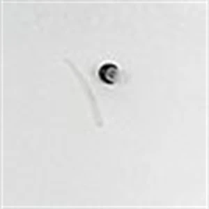 Genuine MTD  ASM  PRIMER BULB/H Part # 791-683974B