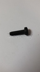 Genuine MTD  Part SCREW 710-04604