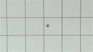 Genuine OEM Kohler JET MAIN (.0445) part# 12 337 01-S