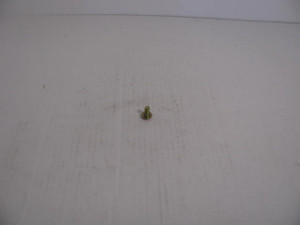 Genuine Tecumseh   SCREW  Part# 650820