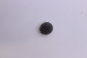 Genuine Tecumseh   FILTER  Part# 632647