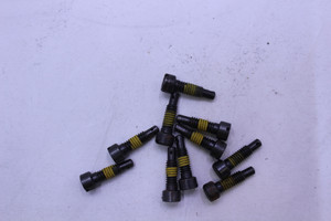 Genuine Tecumseh   POWER SCREW  Part# 631945