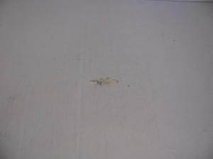 Genuine Tecumseh   TERMINAL  Part# 610973