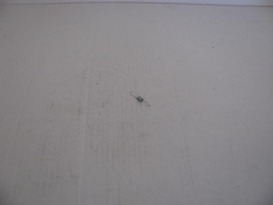Genuine Tecumseh   SPRING  Part# 490318