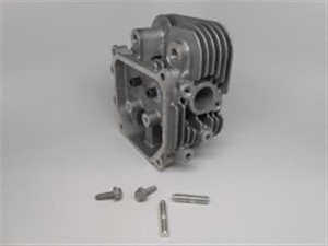 Genuine Kohler KIT, CYLINDER HEAD (#2) Part # 24 318 113-S 24 318 195