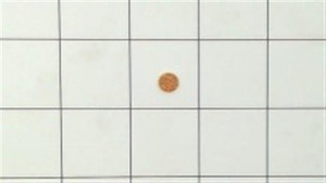 Genuine AYP SEARS HUSQVARNA SINTERED BRONZE FILTER Part# 537403502