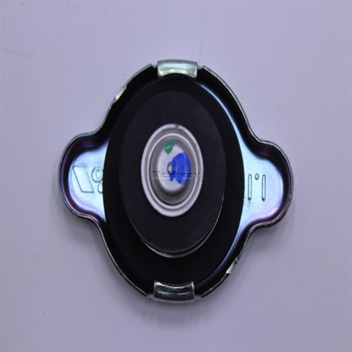 Genuine Kohler CAP RADIATOR Part # 66 173 09-S