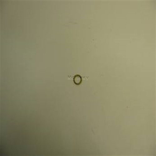 Genuine Kohler OEM O-RING(LATHE CUT) RPL 24 153 19 Part# 24 153 21-S