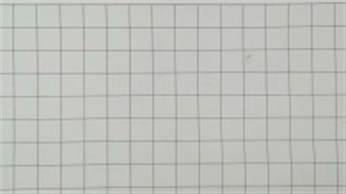 Genuine echo Part SEAL 60541713350