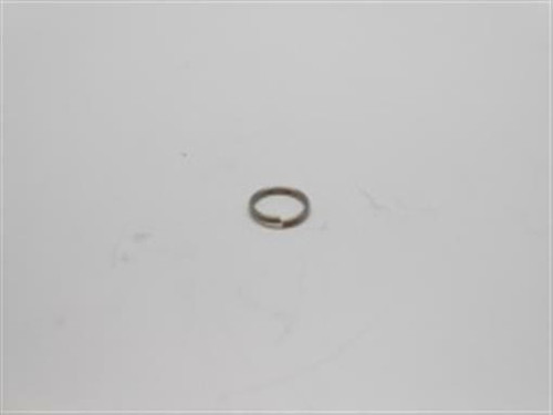 Genuine echo Part CLIP V490000500