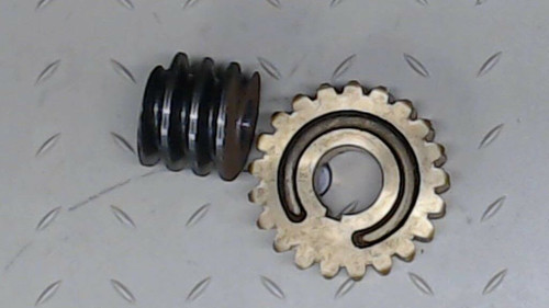 Genuine OEM Ariens Tiller Worm Worm Gear 50200900