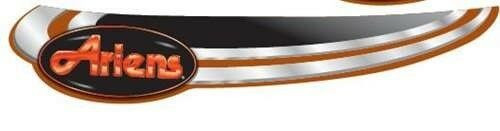 Genuine OEM Ariens Lawn Tractor Decal, Hood L H 21547241