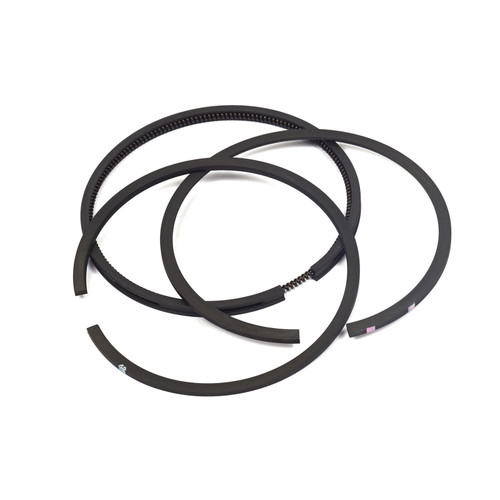 Genuine Brigg&Straton Ring Set (Standard) Part# 394959