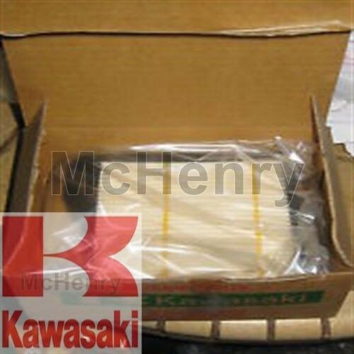 Genuine Kawasaki OEM ELEMENT-AIRFILTER Part# 11013-2175