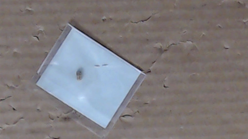 Genuine Kawasaki OEM JET-MAIN#87.5 Part# 92063-2051