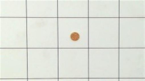 Genuine AYP SEARS HUSQVARNA SINTERED BRONZE FILTER Part# 537403502