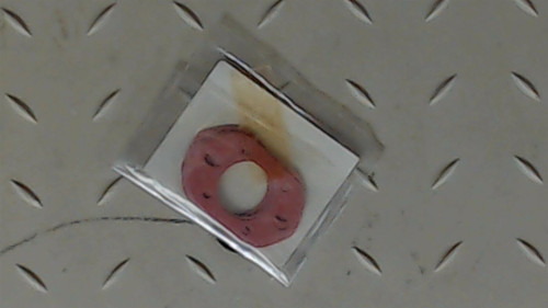 Genuine OEM Kawasaki 5 Pack GASKET Part# 11009-2781